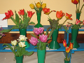 Flower Shows