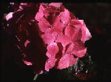 wp0a97abbb.jpg