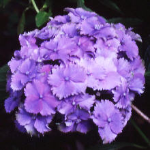 wp1f144a91.jpg