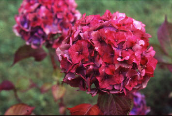 wp2e235535.jpg