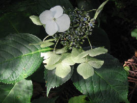 wp34d2b673.jpg
