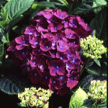 wp48564b08.jpg