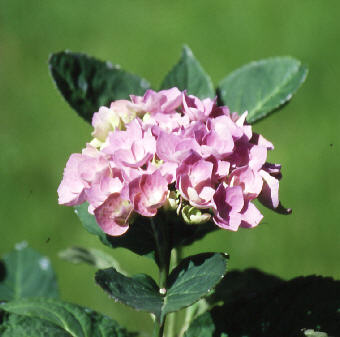 wp624a1269.jpg