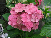 wp693a2339.jpg