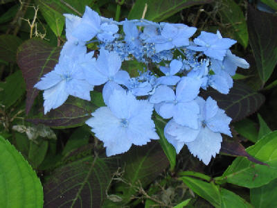 wp72e94c28.jpg