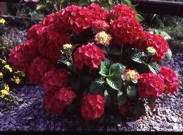 wp7c206d24.jpg