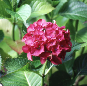 wp8942e4be.jpg