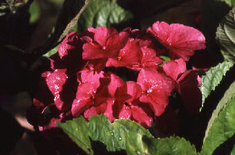 wp8a63ee44.jpg