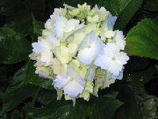 wp8c973927.jpg