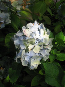 wpdb8c9d52.jpg
